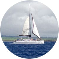 catamaran sailing in maui