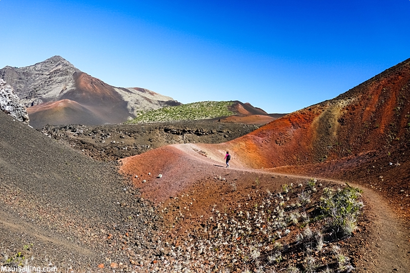 What Not To Do On Maui Trail