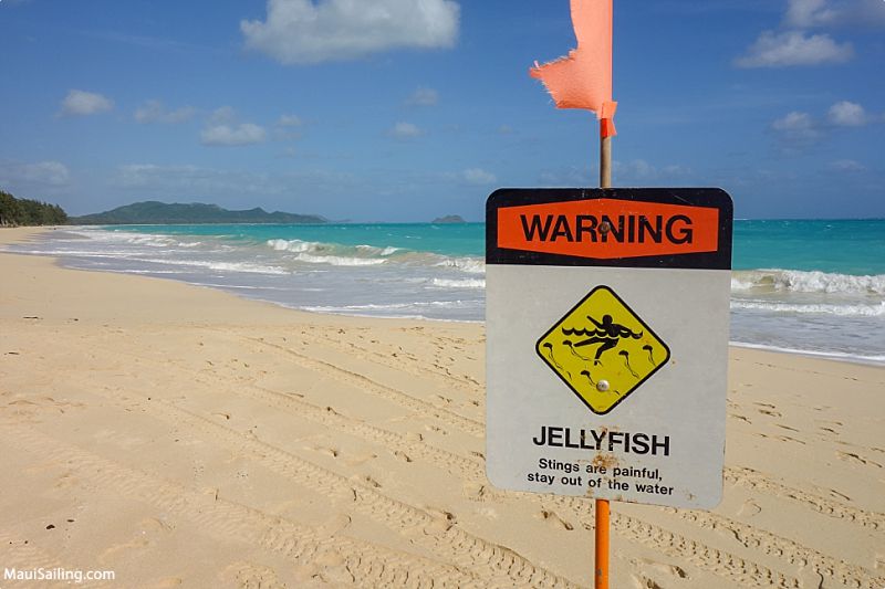 Maui Do Not Warning Signs