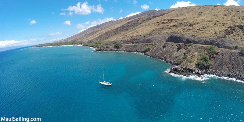 Top Maui Snorkeling Coral Gardens