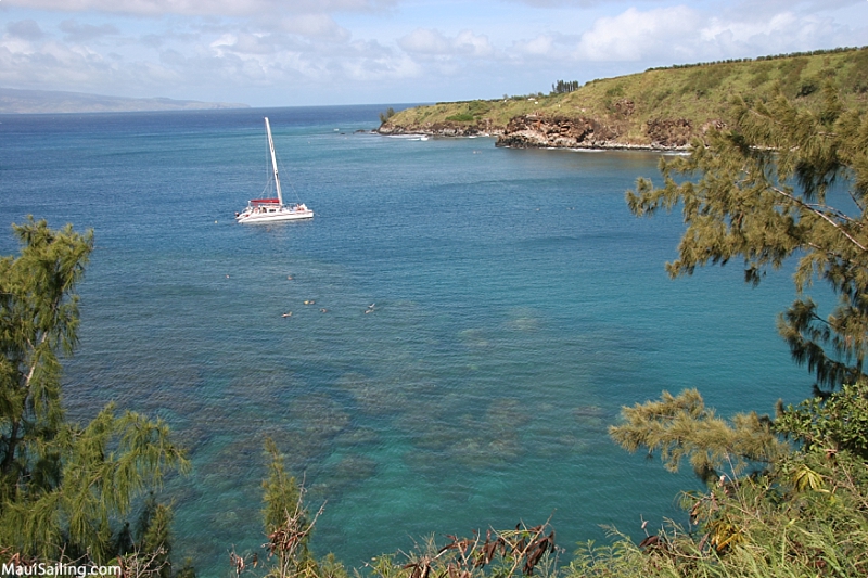 Top Maui Snorkeling Honolua Bay