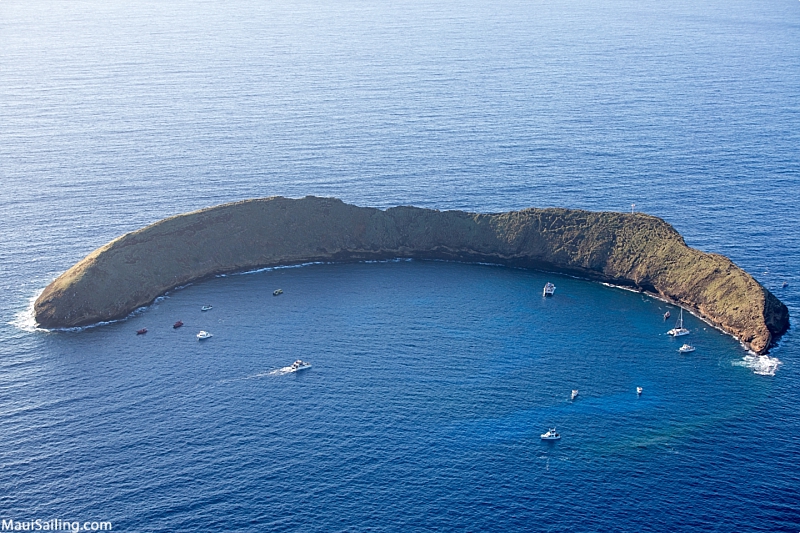Top Maui Snorkeling Spots Molokini