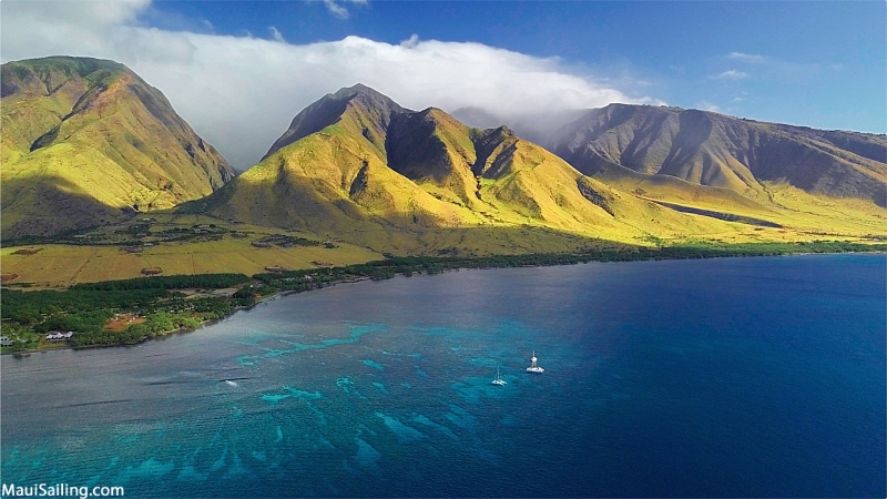 Top Maui Snorkeling Spots Olowalu Reef