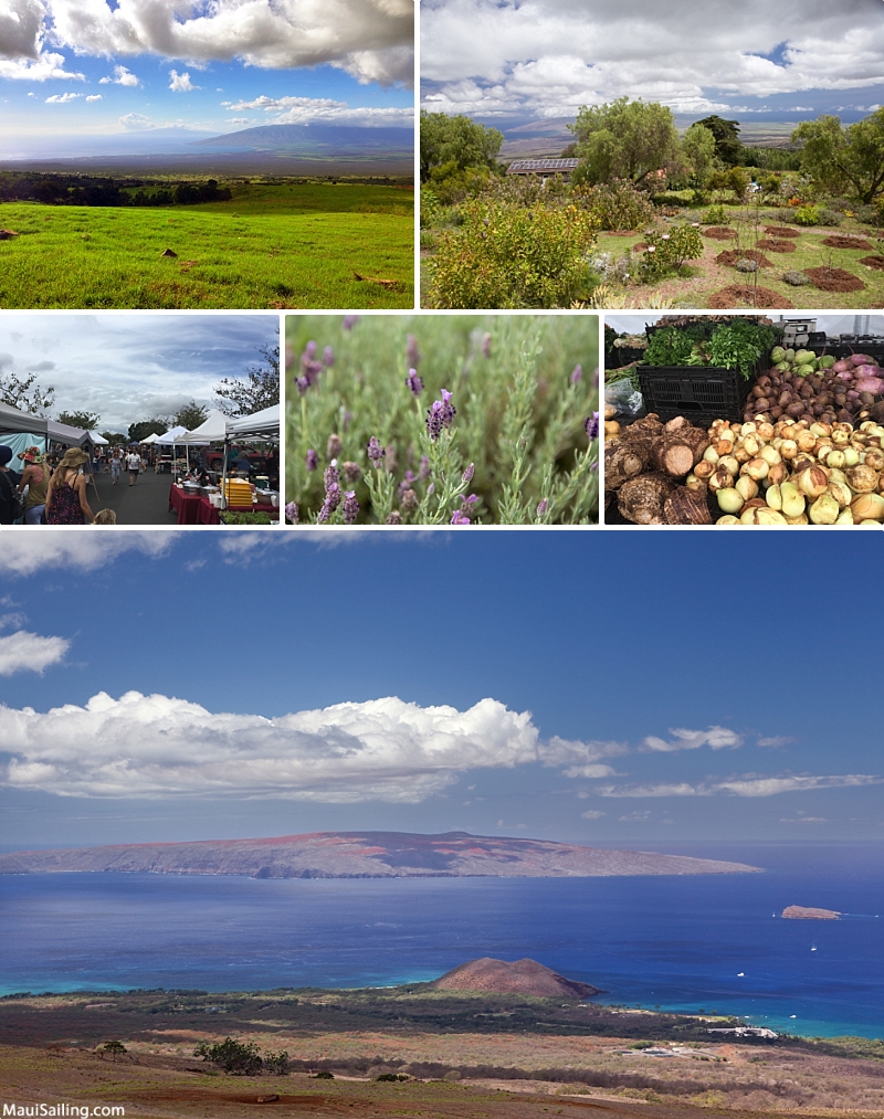 Maui Regions Upcountry Sights