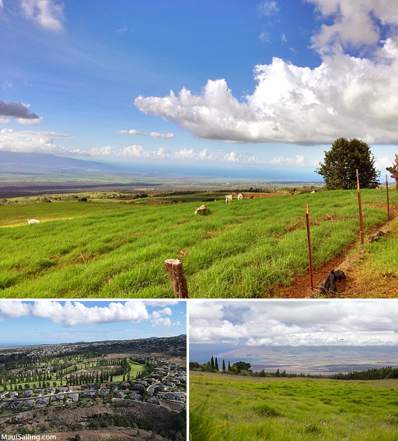 Maui Regions Upcountry Views