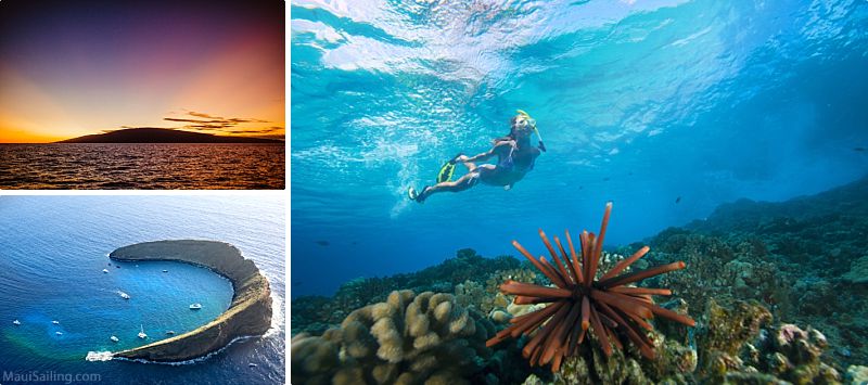 Maui Activites Snorkeling Sunset