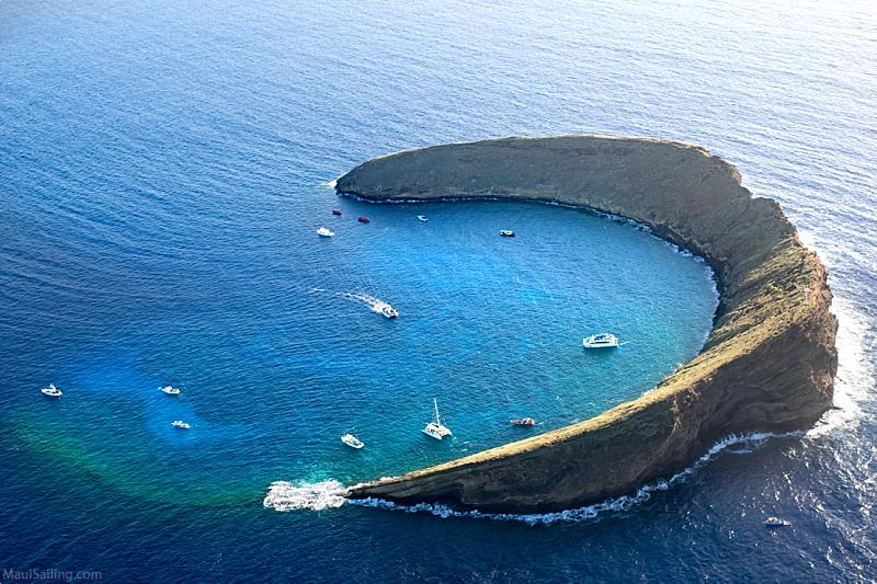 Molokini Snorkeling Tours Action