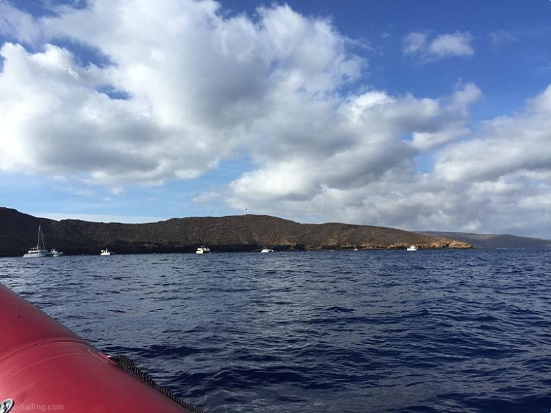 Molokini Snorkeling Tours Redline