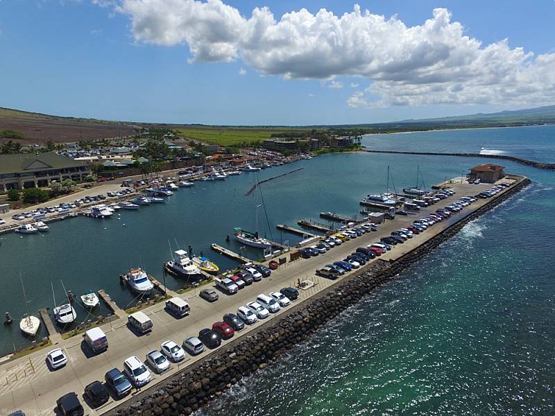 Maalaea Harbor